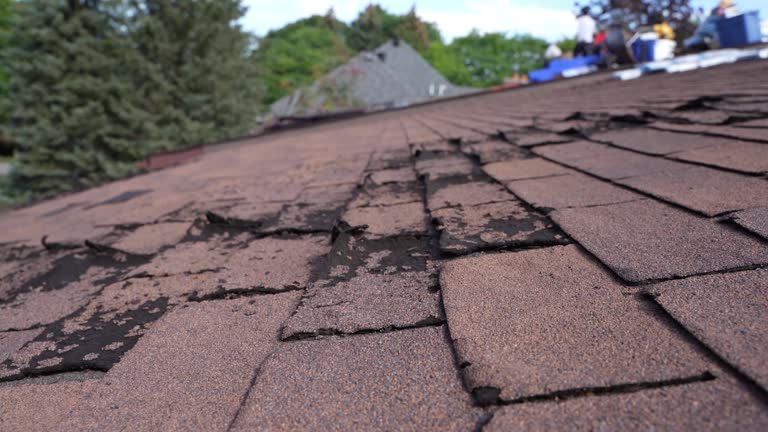 Best Gutter Installation and Repair  in Warren, OH