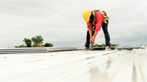 Best Roof Installation  in Warren, OH
