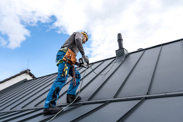 Best Roof Coating and Sealing  in Warren, OH